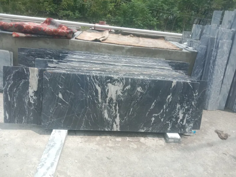 Premium Star Zebra Marble Slabs in Custom Sizes - Black and white Accent — Black and Gold — slab — Italy