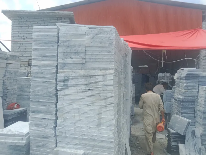 Elevate Your Space with Timeless Sunny White Marble Slabs from Pakistan